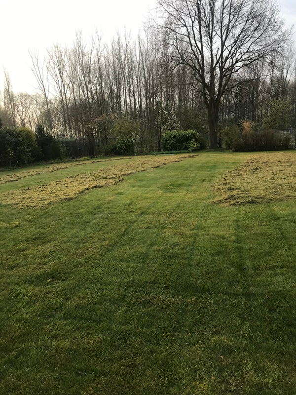Gazonverzorging4
