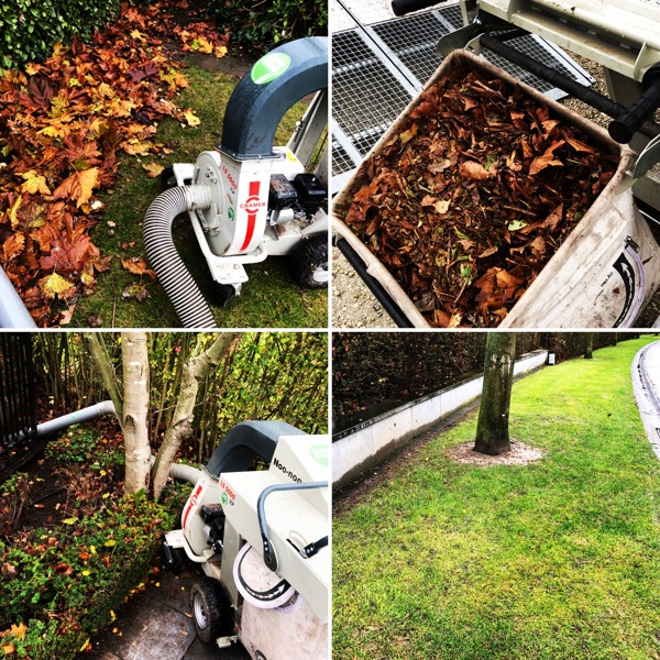 Tuinonderhoud3